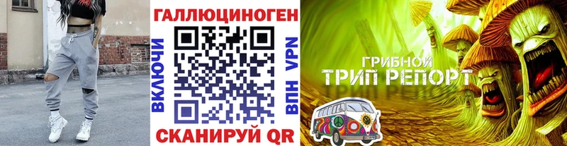 наркошоп  Новочебоксарск  mega онион  Галлюциногенные грибы мухоморы 